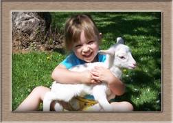 Lamb Photo of Easter-Willow