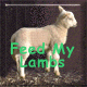 Feed My Lambs