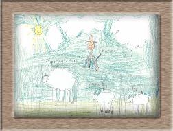 sheep pictures