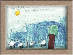 sheep pictures